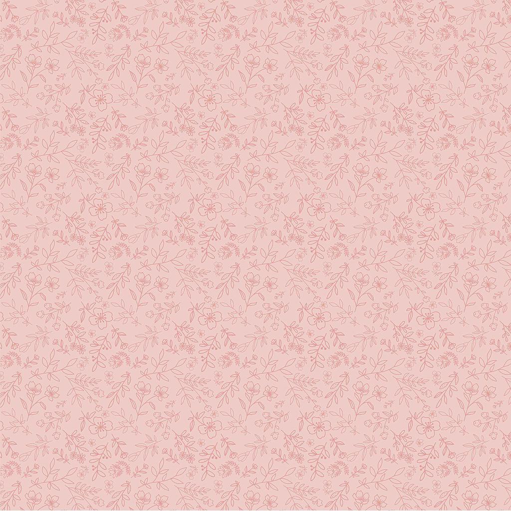 PC-DM20104, Daisy Mae