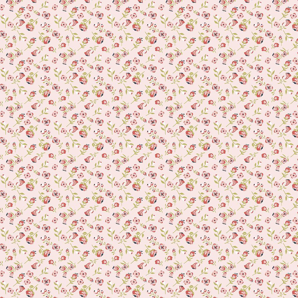 PC-DM20110, Daisy Mae