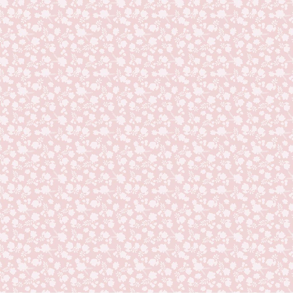 PC-CR20166, Country Roads