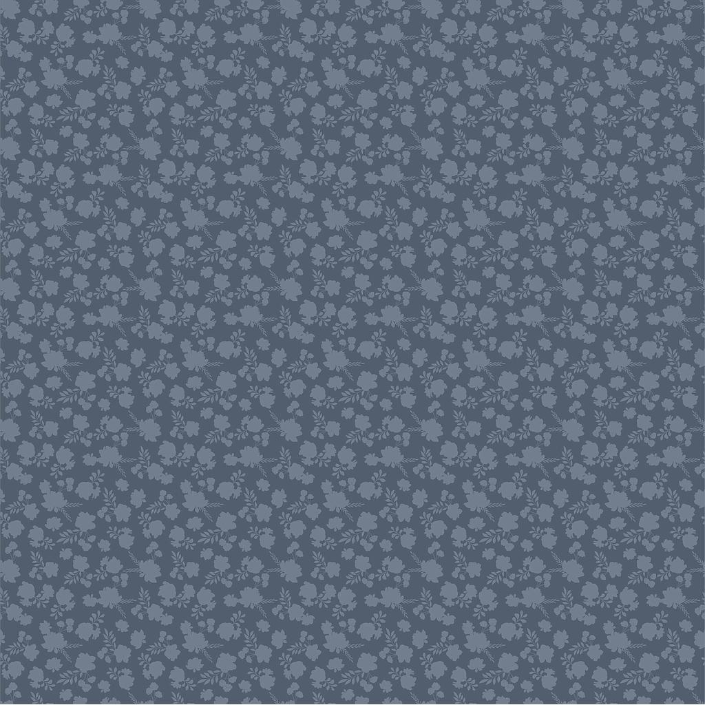 PC-CR20167, Country Roads