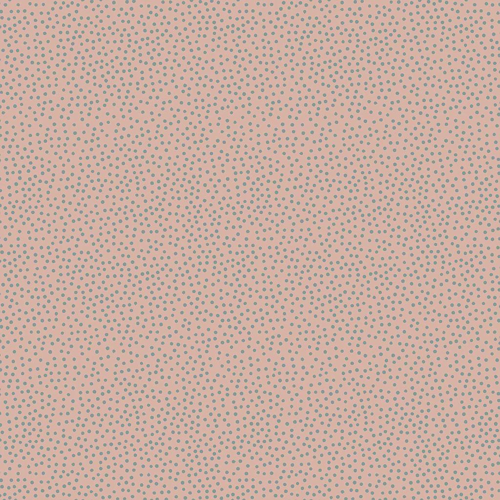 2GZ-DV3281, Birdhouse Basics , STOCK