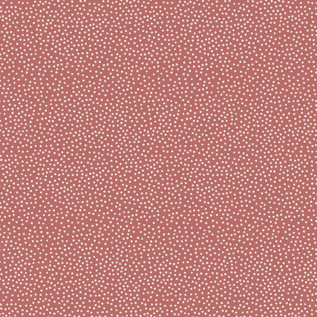 2GZ-DV3282, Birdhouse Basics , STOCK