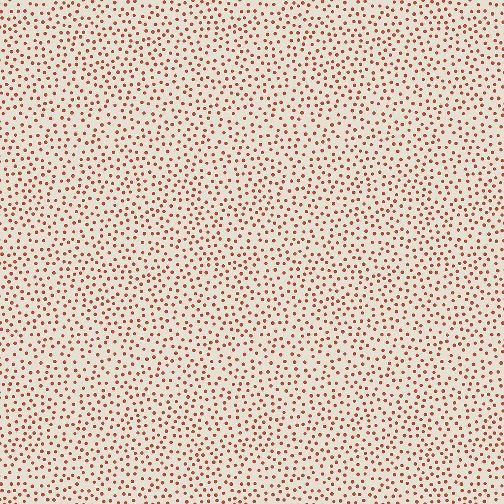 2GZ-DV3400, Birdhouse Basics , STOCK