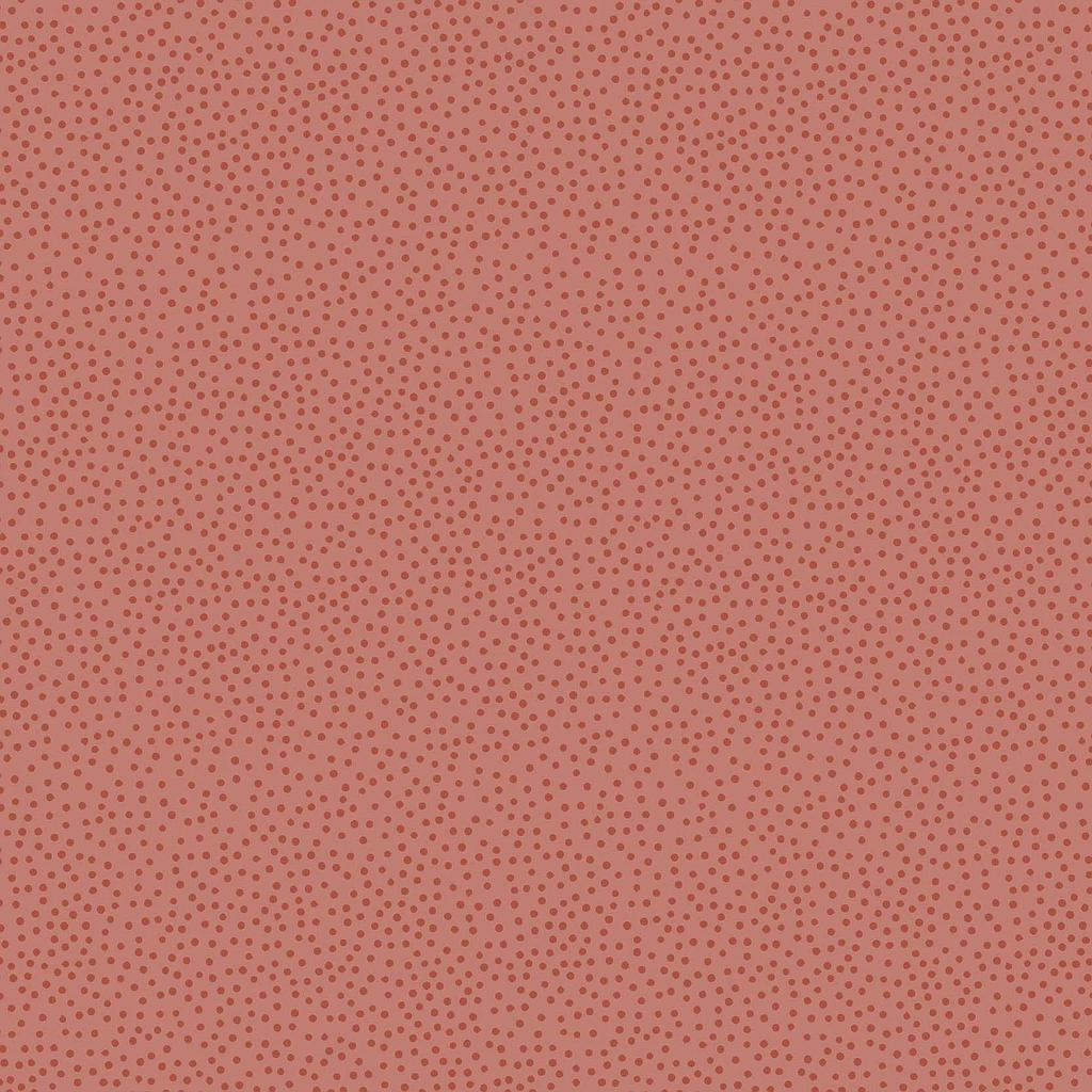 2GZ-DV3402, STOCK ! Birdhouse Basics