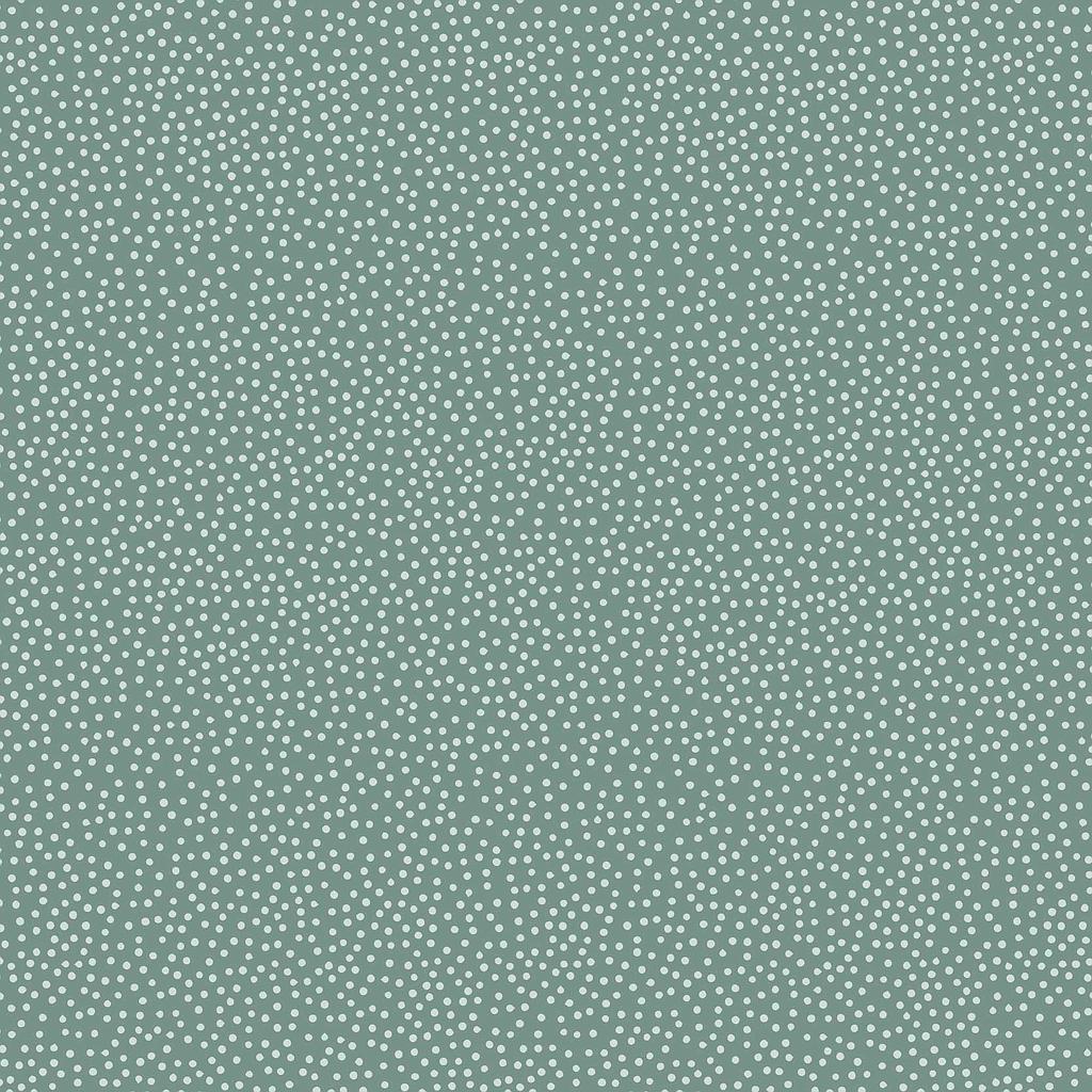 2GZ-DV3407, Birdhouse Basics, STOCK