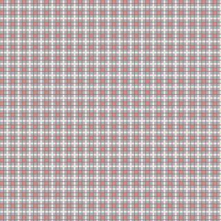 DV3975, STOCK ! Blume & Grow