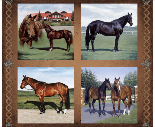 QT-30194-A, Horse Country (3/24)