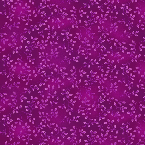 HG-7755-58, Folio Basics