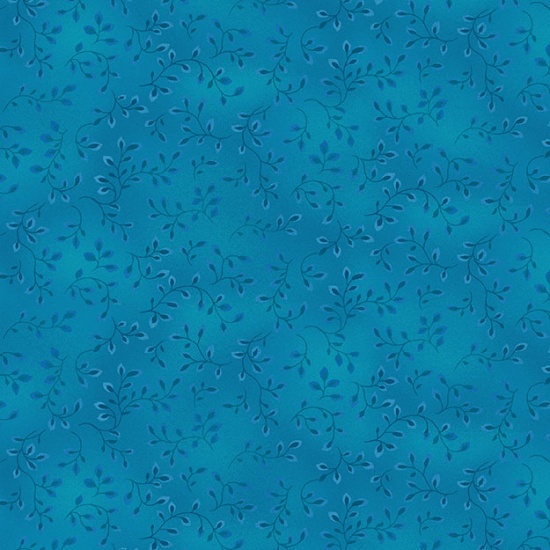 HG-7755-71, Folio Basics