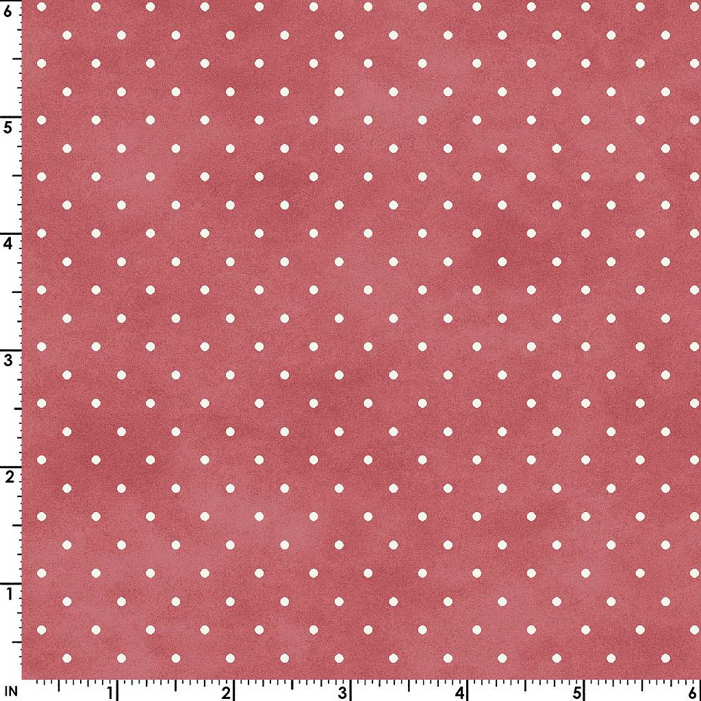 MAS609-P6, Beautiful Basics