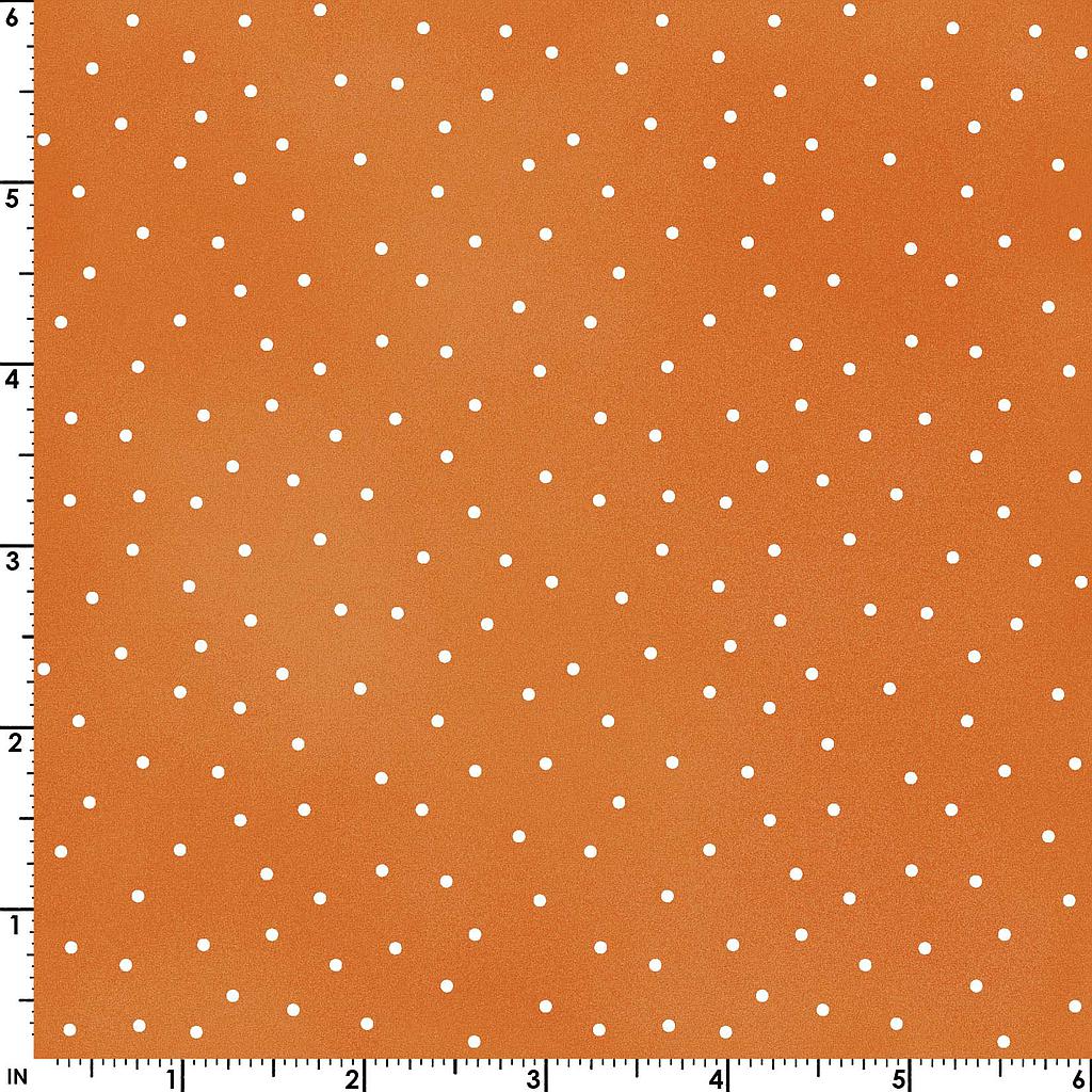 MAS8119-O2, Beautiful Basics