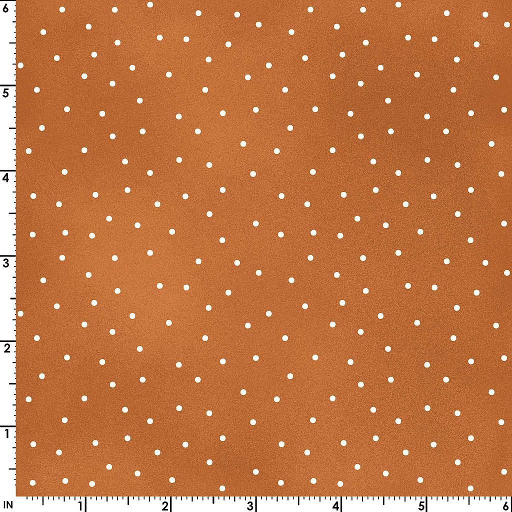 MAS8119-O, Beautiful Basics