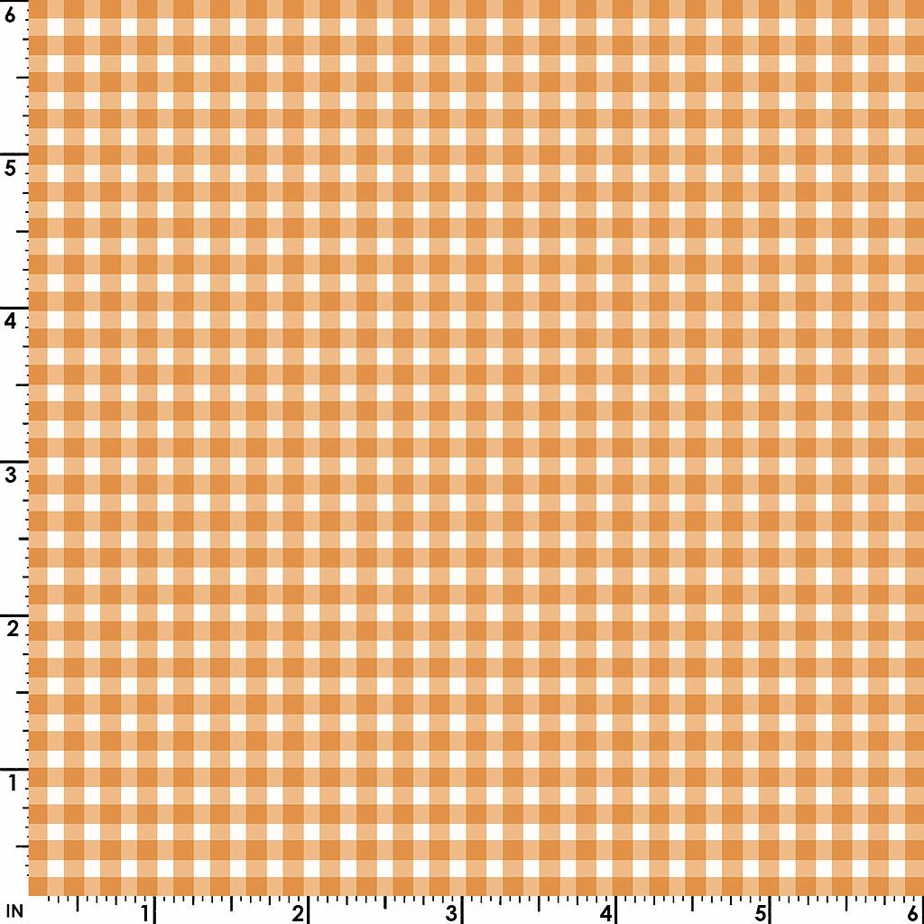 MAS610-O4, Beautiful Basics